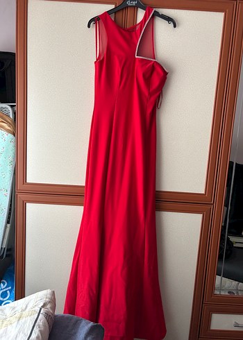 Kırmızı Abiye Balık - Görsel 3