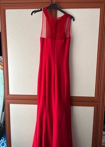 Kırmızı Abiye Balık - Görsel 5