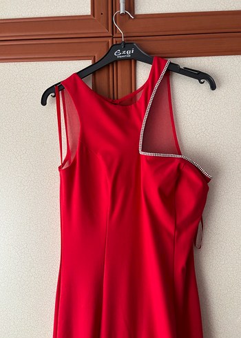 Kırmızı Abiye Balık - Görsel 4