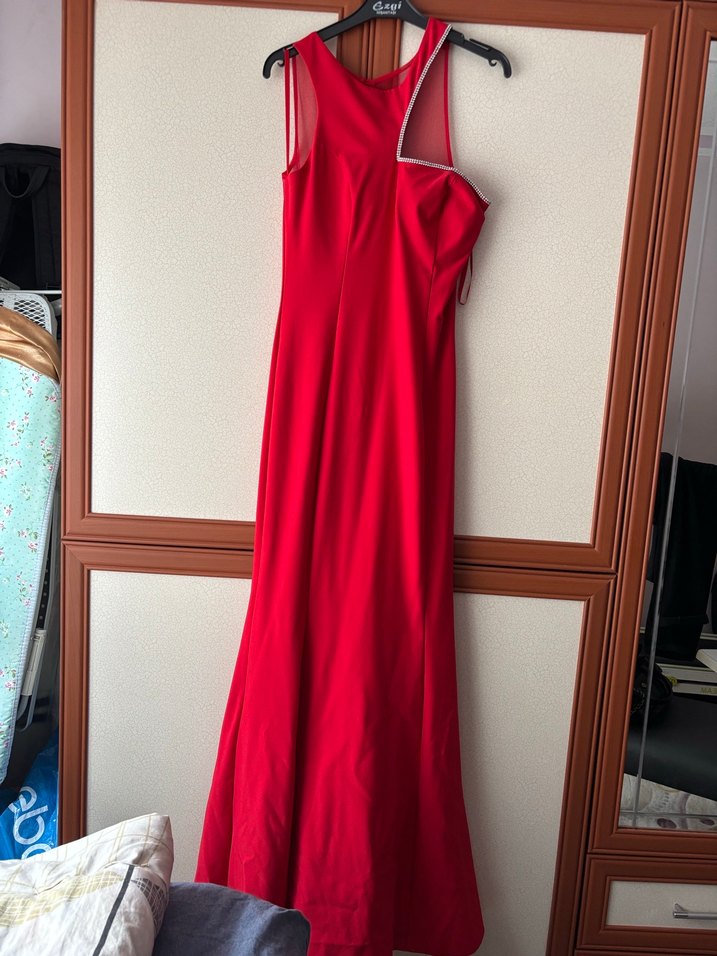 Kırmızı Abiye Balık - Görsel 3