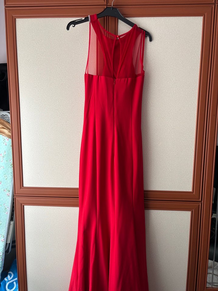 Kırmızı Abiye Balık - Görsel 5