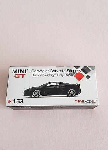 Mini Gt 