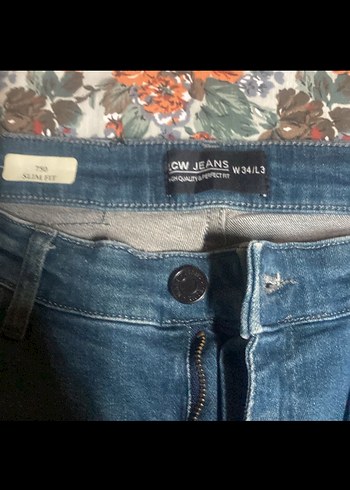 LC Waikiki Erkek Mavi Denim Regular Fit Jean
