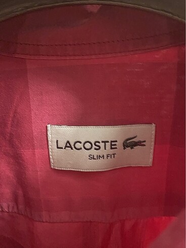 Lacoste Lacoste Kareli gömlek