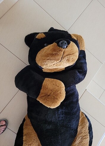 Buyuk boy pelus kopek