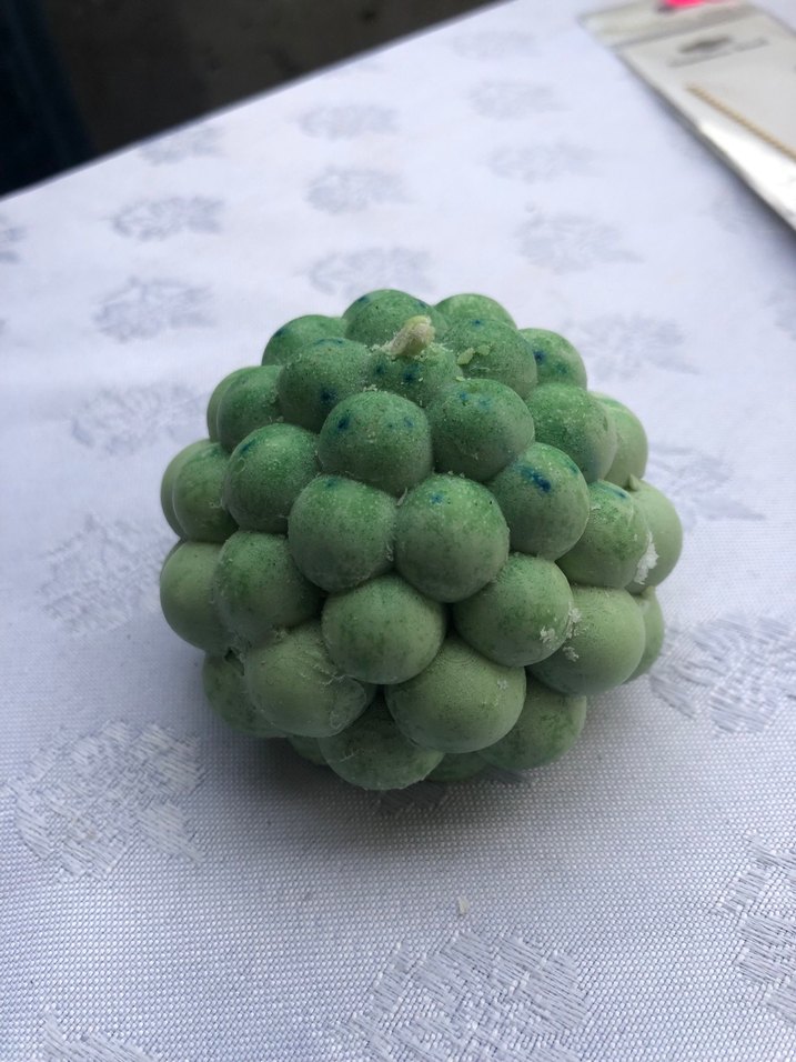 Mum çeşitleri - Görsel 4