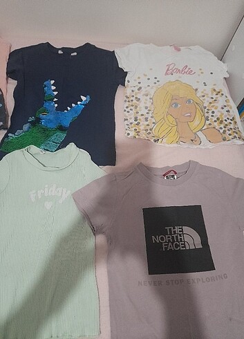4 Yaş Beden pembe Renk Çoklu ürün