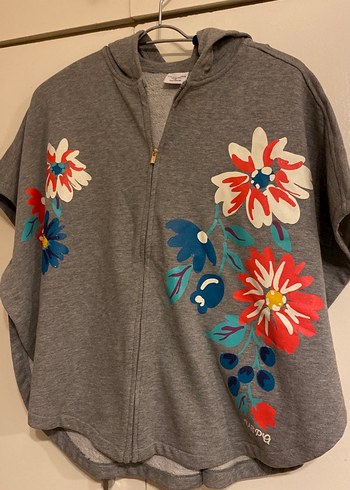 U.S Polo Assn. 15-16 Yaş