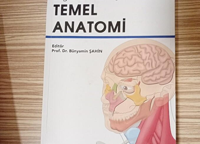 Anatomi kitabı 