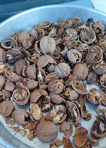 Gri-Kahverengi ceviz kırma Makinesi - Görsel 3