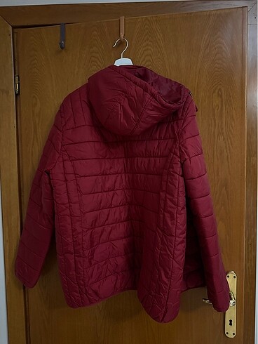 U.S Polo Assn. mont bordo erkek