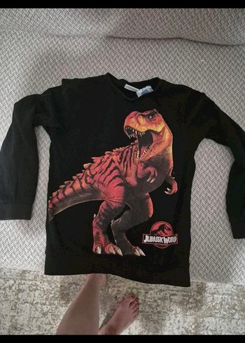 Erkek Çocuk Siyah Dinozor Baskılı Sweatshirt