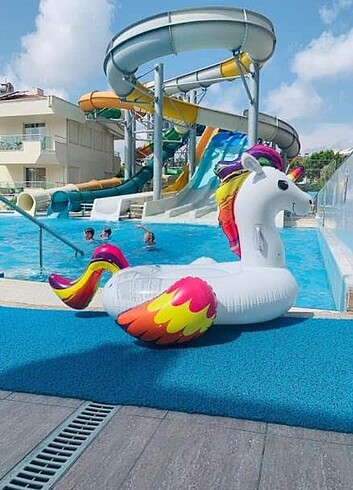 Diğer Unicorn deniz havuz botu