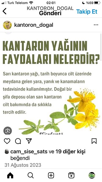 Beden Sarı Kantaron yağı