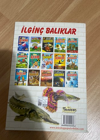 İlginç Balıklar Çocuk Kitabı - Görsel 2