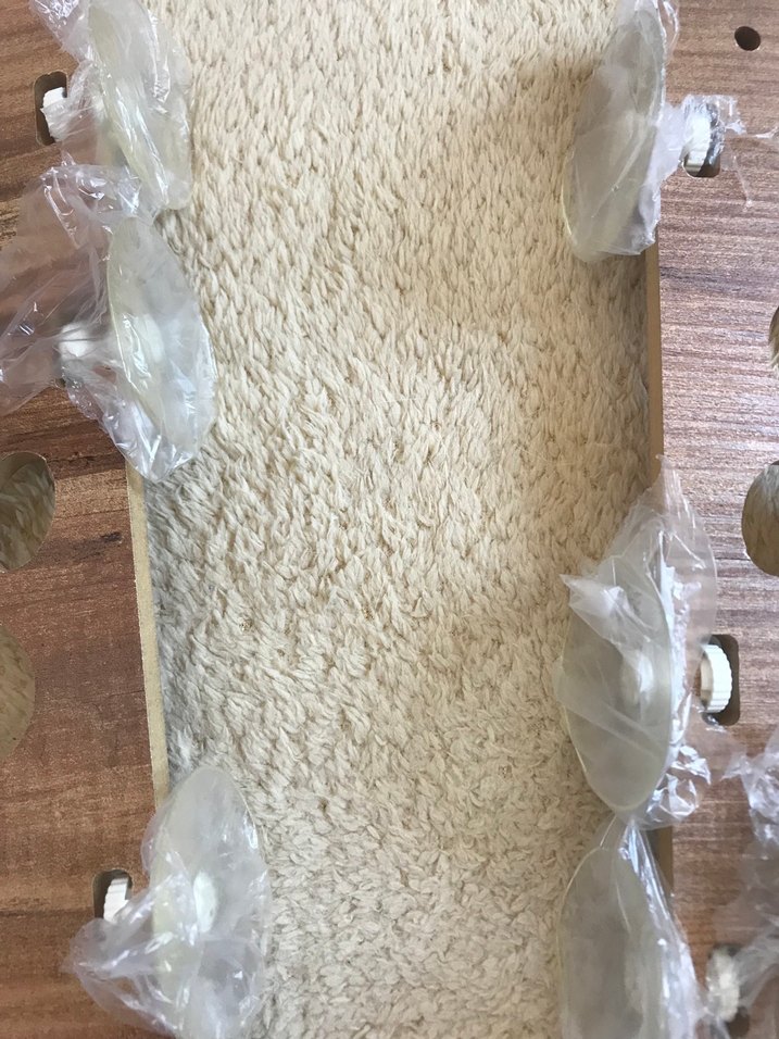 Kahverengi Ahşap Kedi yatağı - Görsel 4