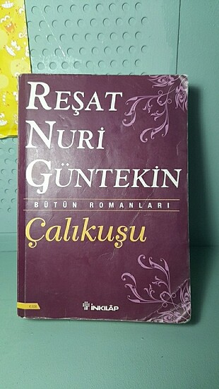 Çalıkuşu romanı