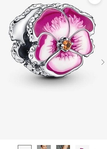 Pandora charm