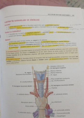 ProspekTUS Anatomi Fakülte ve Modül Sınavları Kitabı - Görsel 6