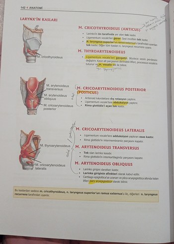 ProspekTUS Anatomi Fakülte ve Modül Sınavları Kitabı - Görsel 5