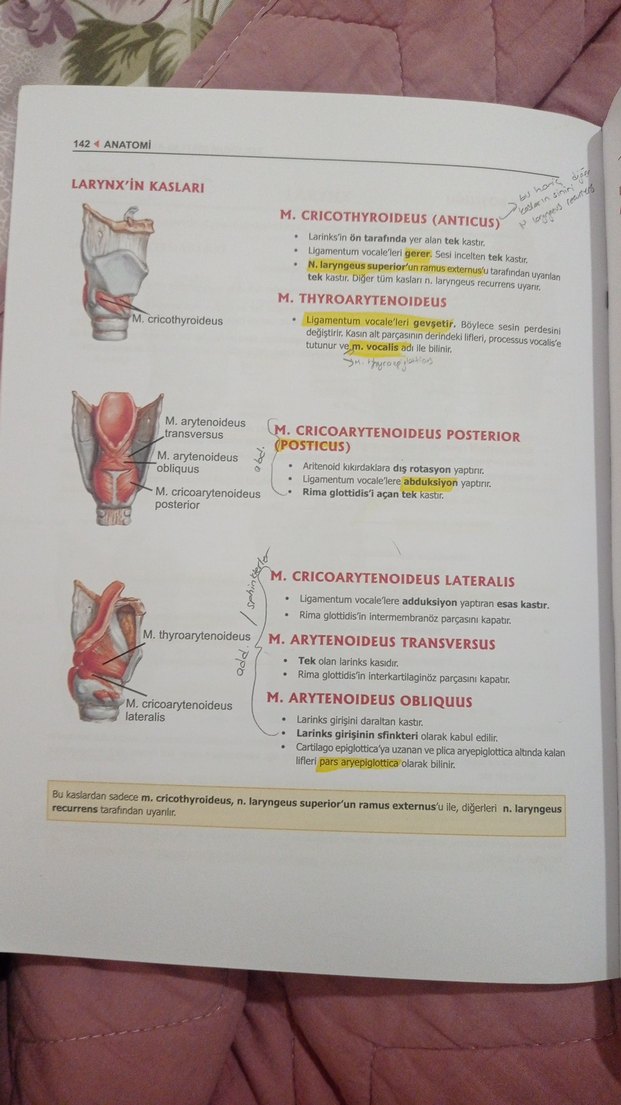 ProspekTUS Anatomi Fakülte ve Modül Sınavları Kitabı - Görsel 5