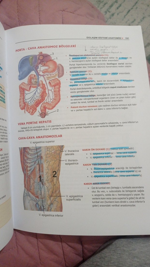 ProspekTUS Anatomi Fakülte ve Modül Sınavları Kitabı - Görsel 3