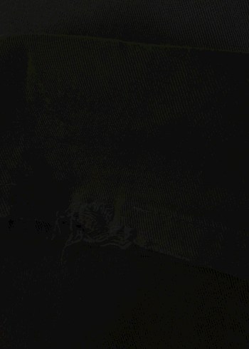 Kahverengi Kadın Kot Pantolon - Görsel 5