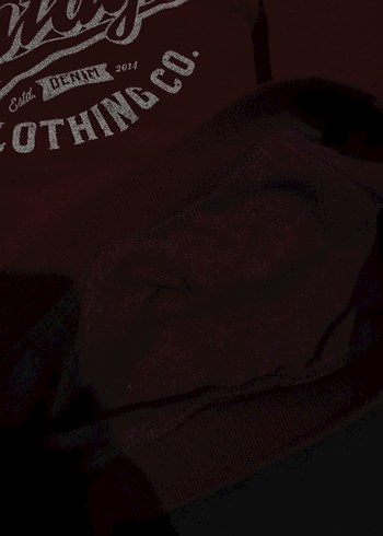 Bordo Vintage Baskılı Kadın Sweatshirt - Görsel 3