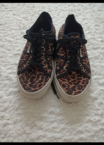 Leopar converse