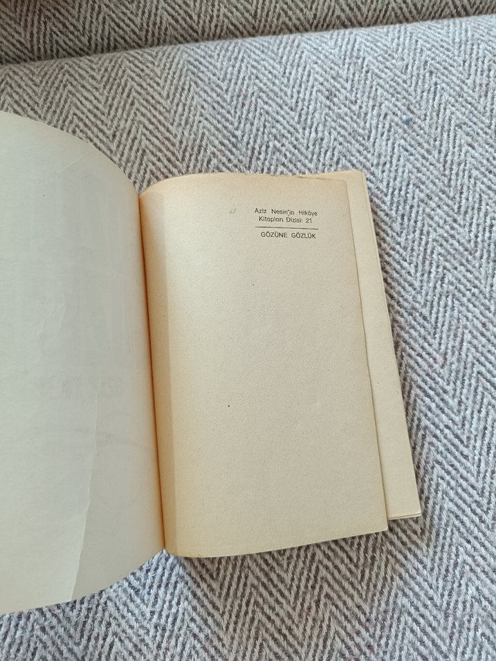 Gözüne Gözlük - Aziz Nesin - Görsel 4