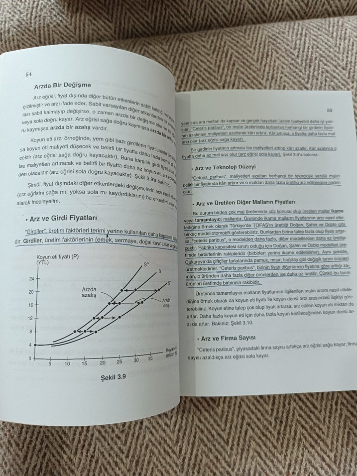 Temel Ekonomi - Prof. Dr. Tümay Ertek - Görsel 2