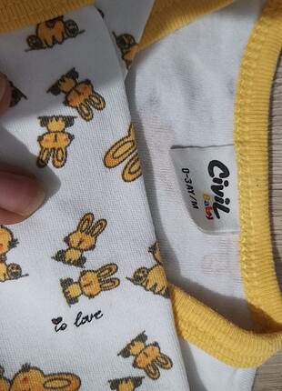 Yeni Doğan Takım  - Görsel 2