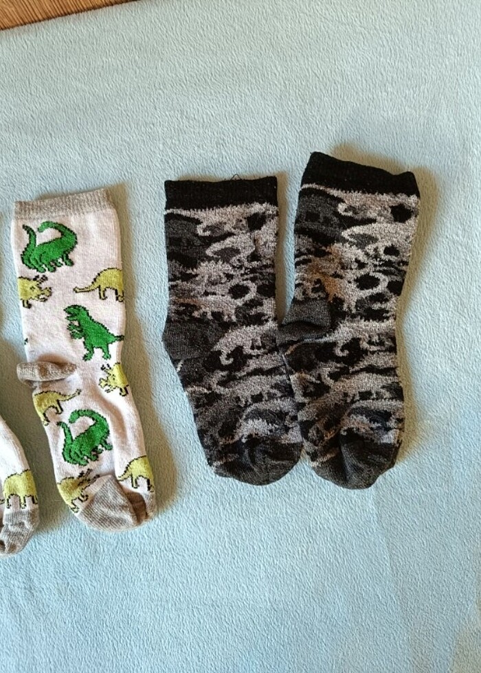 Dinozor Desenli Çocuk Çorap  - Görsel 3