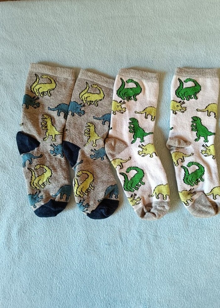 Dinozor Desenli Çocuk Çorap  - Görsel 4