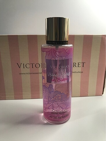 Victoria Secret Velvet Petal ın Bloom