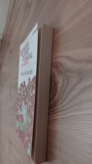  Beden Memduh Şevket Esendal Ayyaşlı İle Kiracıları 