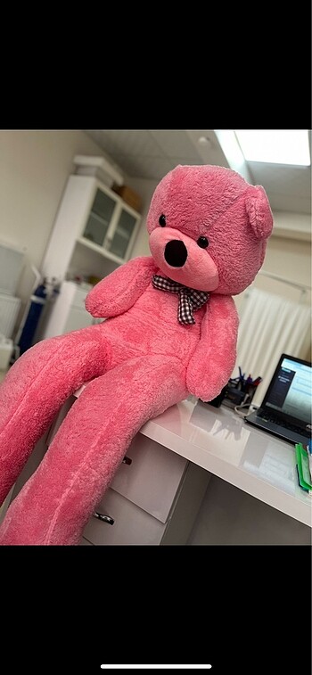 Pembe ayıcık
