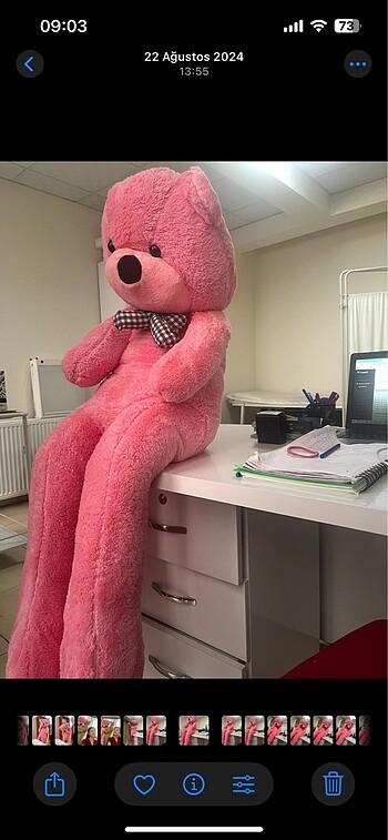 Zara Pembe ayıcık