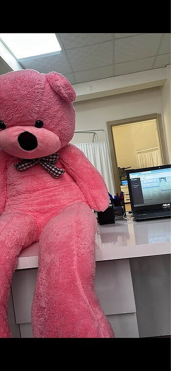  Beden Renk Pembe ayıcık