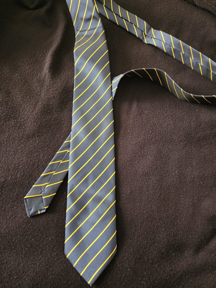 Lacivert Sarı Çizgili Erkek Kravat - Görsel 2