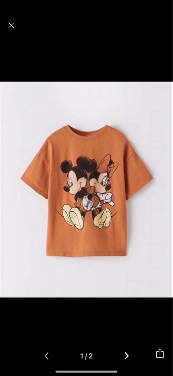 Zara Tshirt