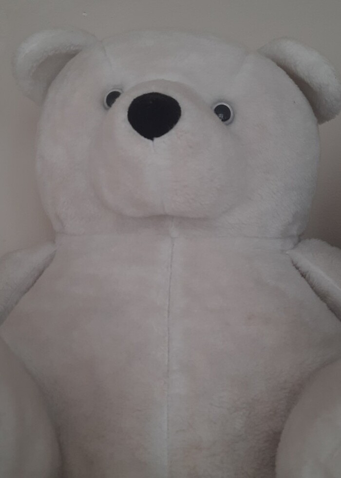 Büyük ayıcık  - Görsel 2