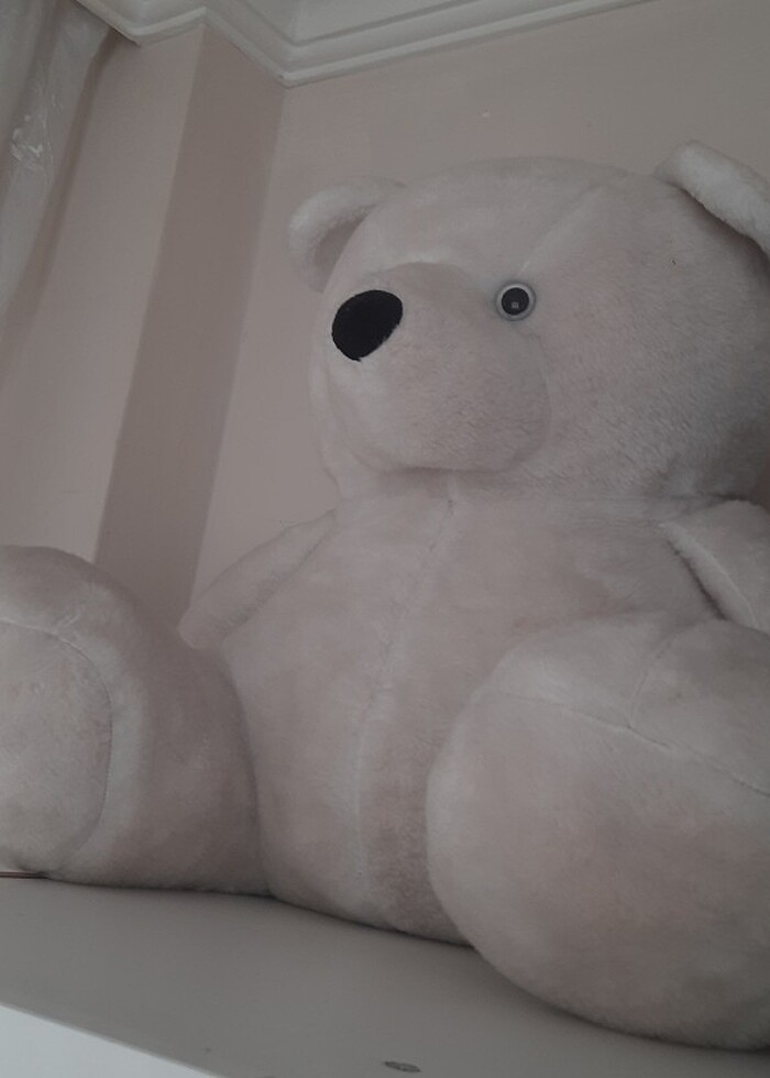 Büyük ayıcık  - Görsel 3