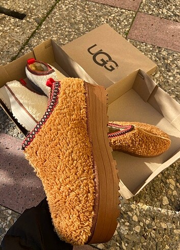 UGG TAZZ braid Hardwood 