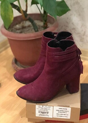 Bordo bot