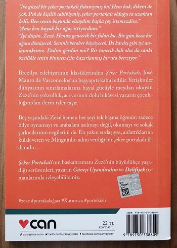 Şeker Portakalı - José Mauro de Vasconcelos - Görsel 2