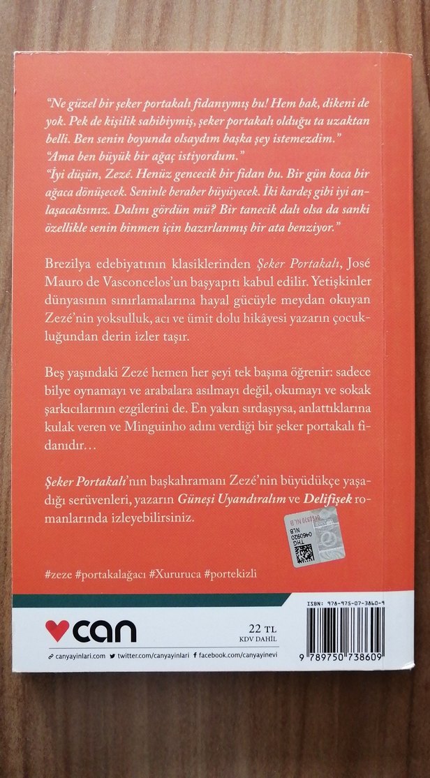 Şeker Portakalı - José Mauro de Vasconcelos - Görsel 2