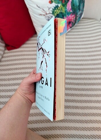 İkigai kitap