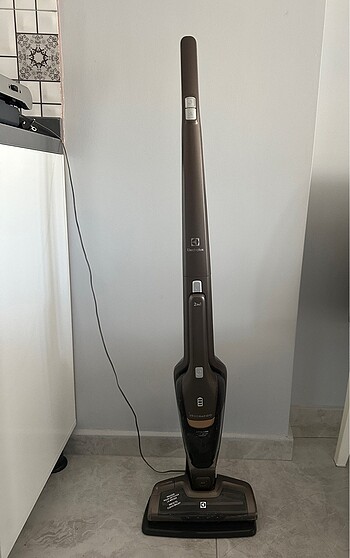Electrolux ergo rapido 2in 1 dikey süpürge