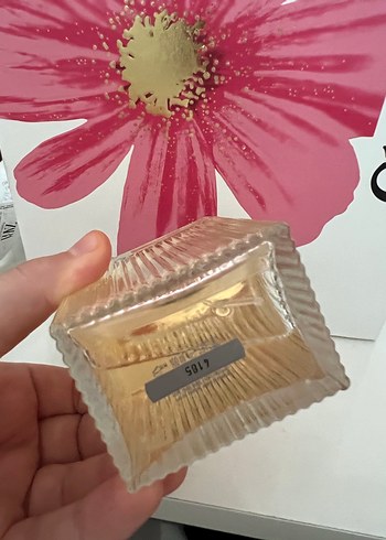 Chloé Chloé Kadın Parfümü 100 ml